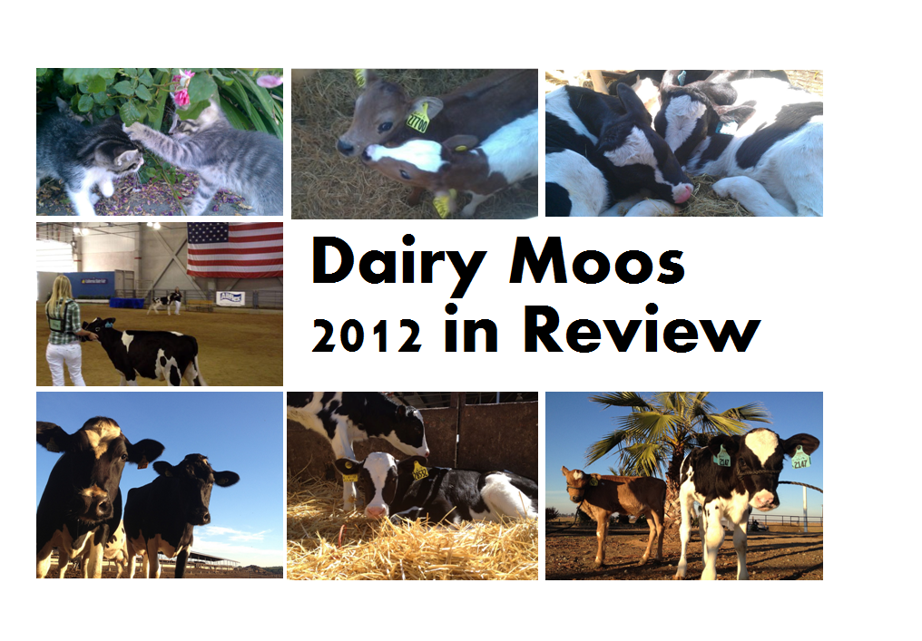 Dairy Moos 2012