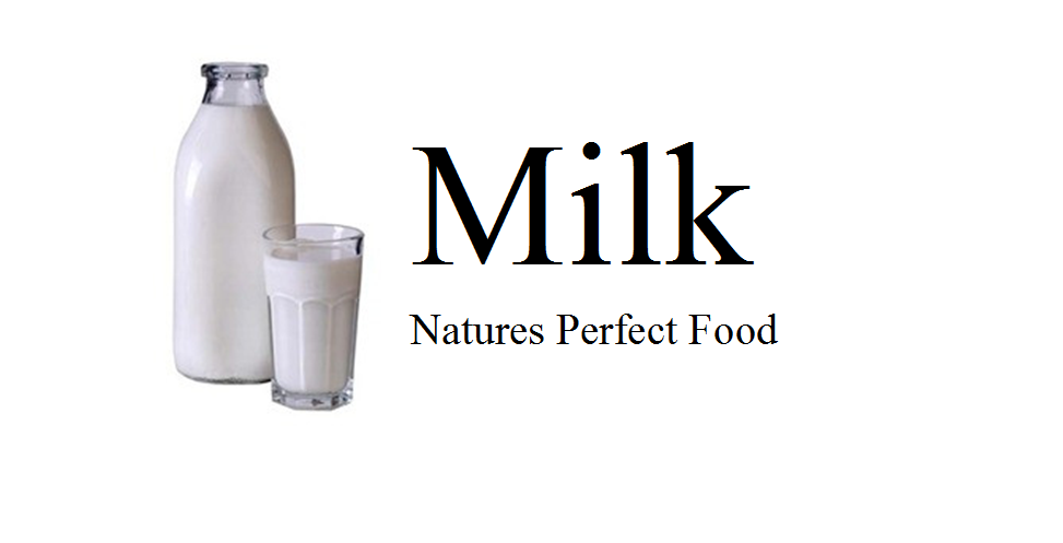 Milk Natures Perfect food