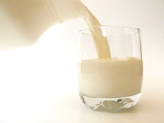 antibiotics-in-milk