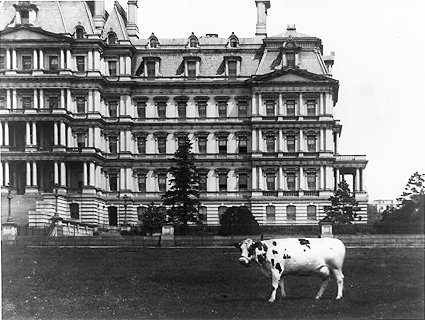 taft