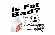Is fat bad for you