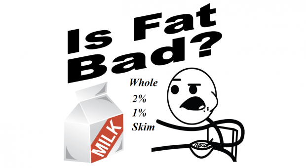 Is fat bad for you