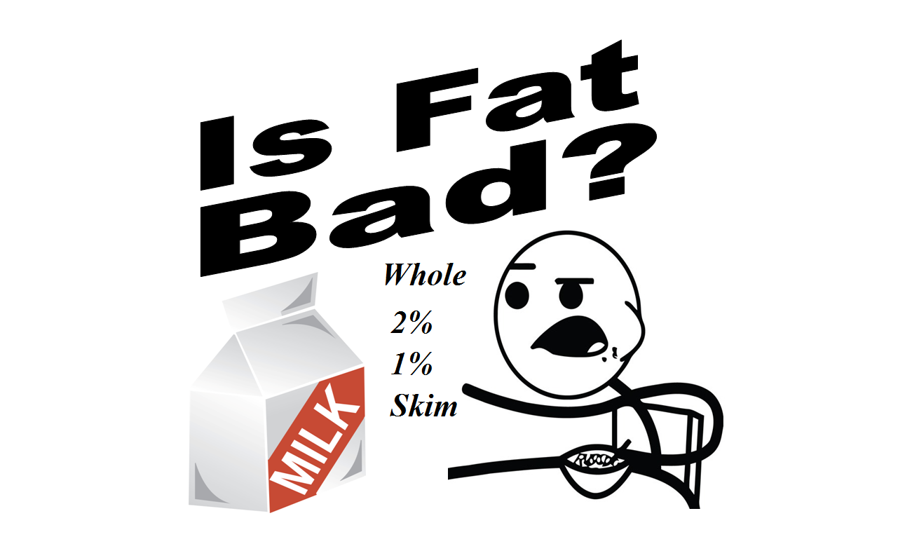 Is fat bad for you