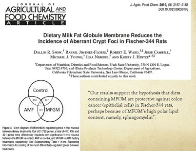 MFGM against colon cancer