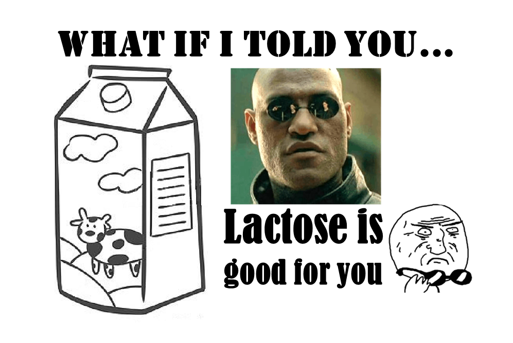 3 reasons why lactose is good for you