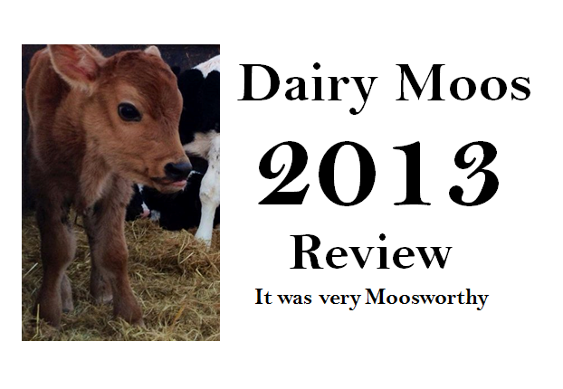 Dairy Moos 2013