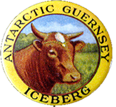 Iceberg the Antartic Guernsey 