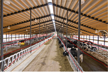 Flush lane in the barn