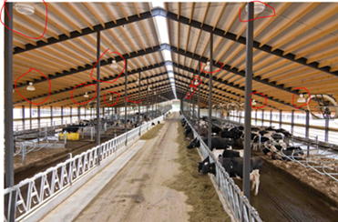 Dairy barn lights