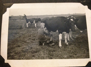 Dairy in my dna Dairy in my dna