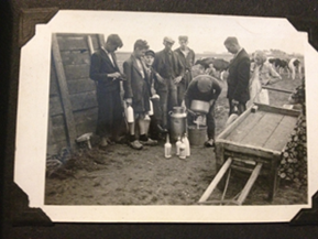 Roots in dairy Roots in dairy