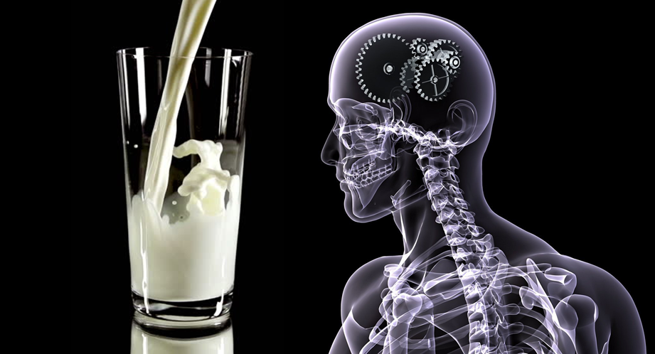 Milk makes you smarter