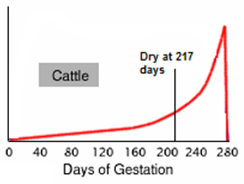 Cows Hormone level over pregnancy 