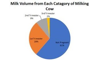 Does milk come from pregnant cows