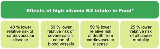 plant based milks lack vitamin K2