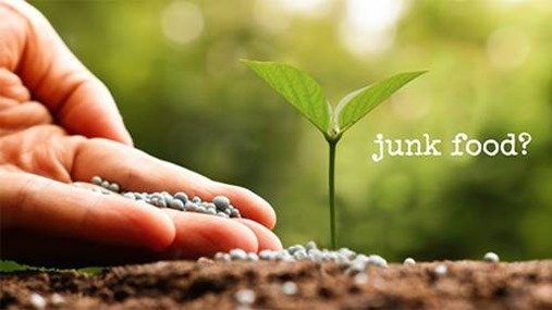 Plant forced to grow