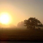 countrymorningsunrise.jpg