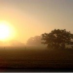 countrymorningsunrise_thumb.jpg