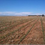 IMG_0253_thumb.jpg