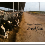 happy-cows-beakfast_thumb.png