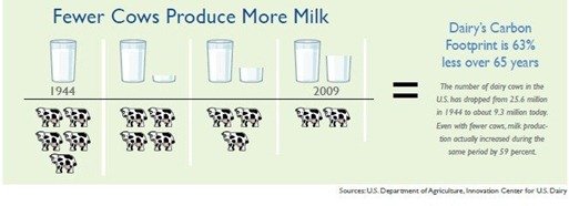 fewer-cows-more-milk12