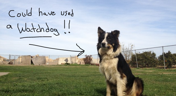 Could-have-used-a-watchdog