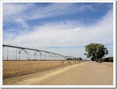 California Irrigation