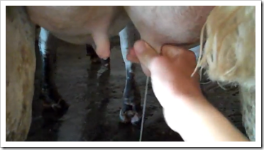 Checking milk