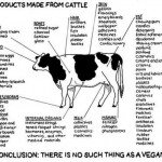 No Such Thing as a True Vegan?