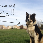 What to do When your WordPress Website gets Hacked