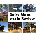 Dairy Moos 2012 Year End Review