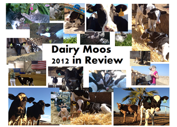 Dairy Moos 2012 in Review