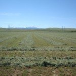 A Dairy with Environmental Integrity