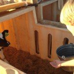 Dairy is a Family Business