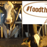 3 Notable Things to be Thankful for this Thanksgiving!