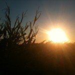 Shocking News: The Weather is Unpredictable