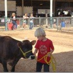 Wow Wow Wubbzy Goes to the County Fair