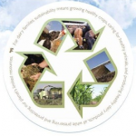 Is Modern Dairy and Animal Agriculture Sustainable?