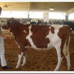 Easter, and the California State Show