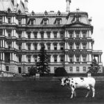 An Unusual Presidential Pet