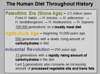 The human diet throughout history