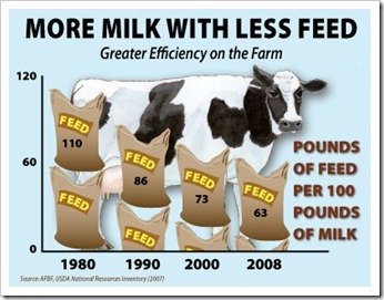 How much milk does a georgia dairy cow produce per day