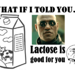 3 Reasons why Lactose is good for you