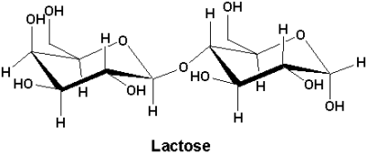 Lactose