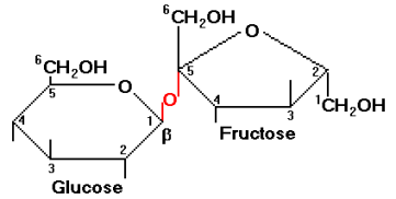 sucrose