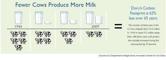 fewer-cows-more-milk12