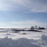 Do Cows like Cold Weather?