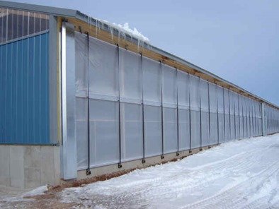 Dairy Barn with Curtains