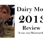 Dairy Moos 2013 year-end Review