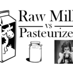 Raw Milk vs. Pasteurized Milk